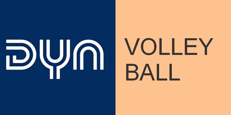 dyn-volley-ball-logo